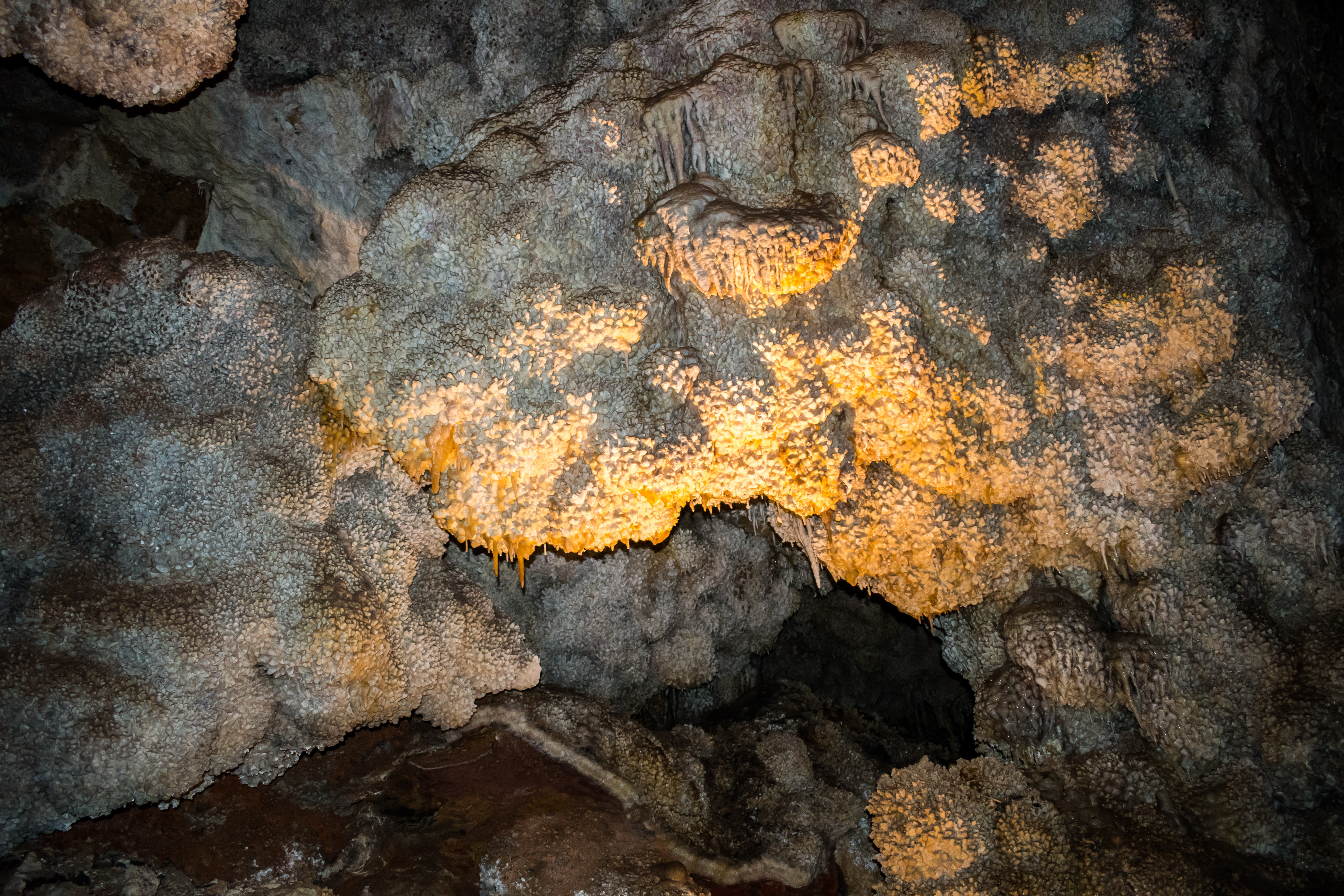 A photo of Jewel Cave
